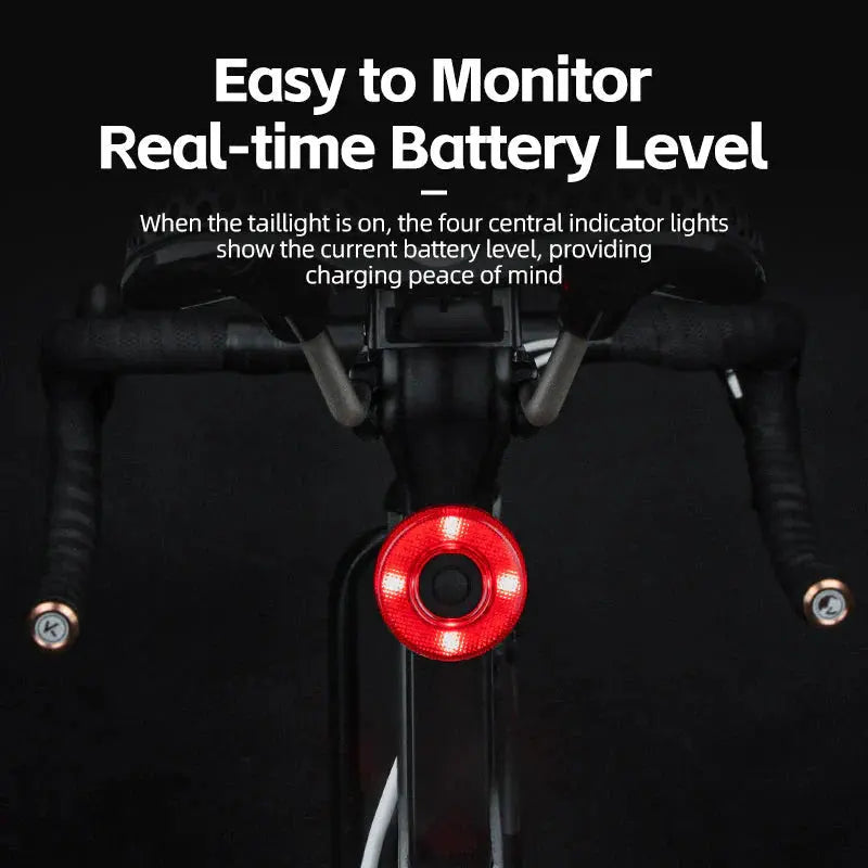 Load image into Gallery viewer, Bicycle Taillight | 50 Lumens, IPX6 Waterproof, 50hr Battery & Brake Sensing Function ROCKBROS MADOVERBIKING