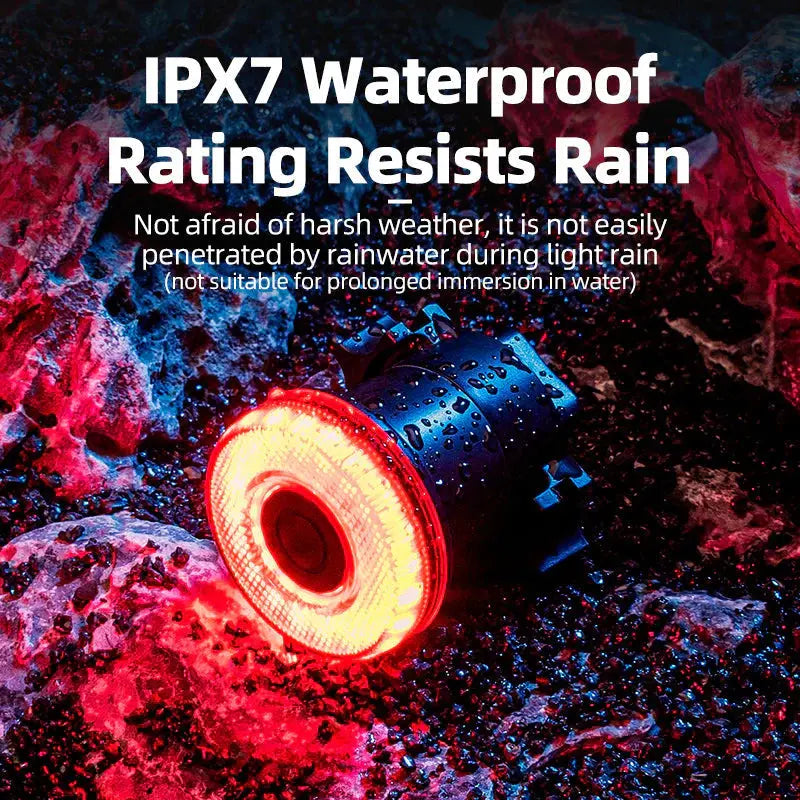 Load image into Gallery viewer, Bicycle Taillight | 50 Lumens, IPX6 Waterproof, 50hr Battery & Brake Sensing Function ROCKBROS MADOVERBIKING