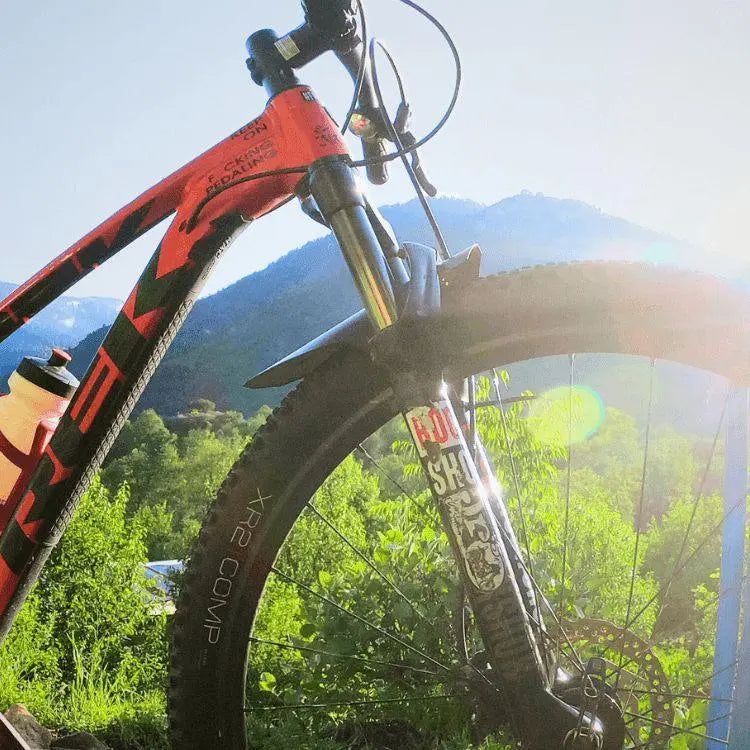 Load image into Gallery viewer, NAC Downtube Protector