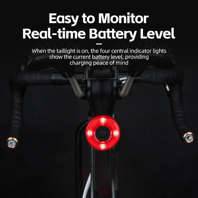 Load image into Gallery viewer, Smart Tail Light Circular ROCKBROS MADOVERBIKING
