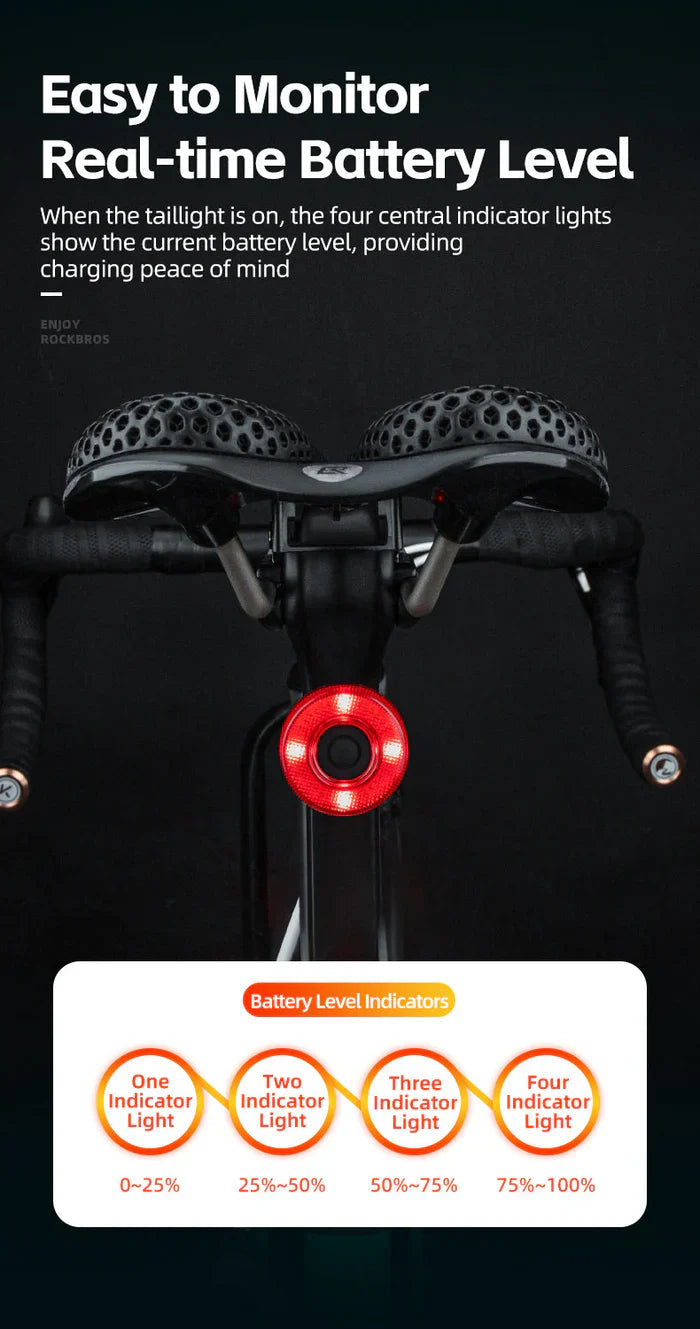Load image into Gallery viewer, Smart Tail Light Circular ROCKBROS MADOVERBIKING
