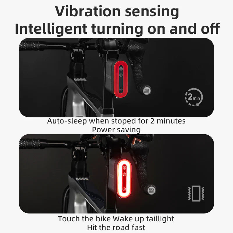 Load image into Gallery viewer, Bicycle Taillights | Smart Taillight with Lock and Brake Sensing Function ROCKBROS MADOVERBIKING
