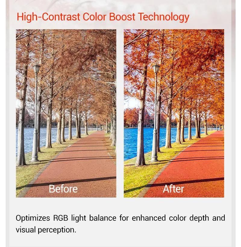 Load image into Gallery viewer, Kapvoe K428 Carbon Frame Sunglasses Ultra Lighteight Kapvoe MADOVERBIKING
