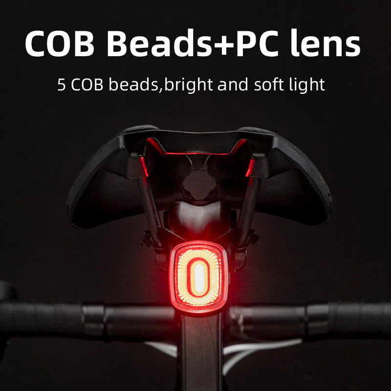 Load image into Gallery viewer, Smart Tail Light ROCKBROS MADOVERBIKING
