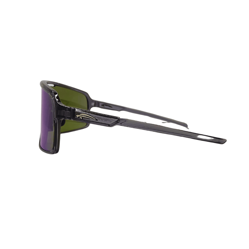 Load image into Gallery viewer, Atmosphere Raptor Sunglass Metallic Silver
