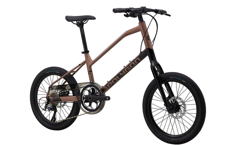 Load image into Gallery viewer, Polygon Brand Bicycle Zeta 2 2021-20X14 - MADOVERBIKING
